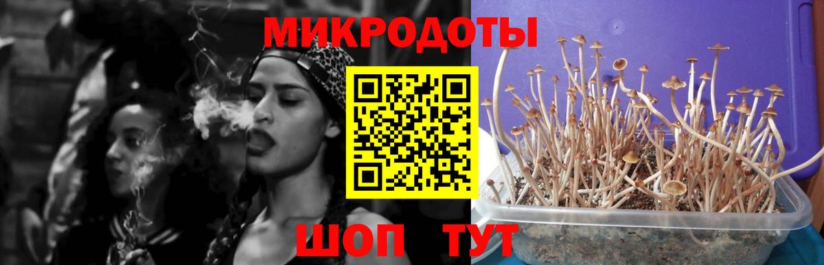 Киржач  Галлюциногенные грибы MAGIC MUSHROOMS  цены наркотик  Вход с VPN 